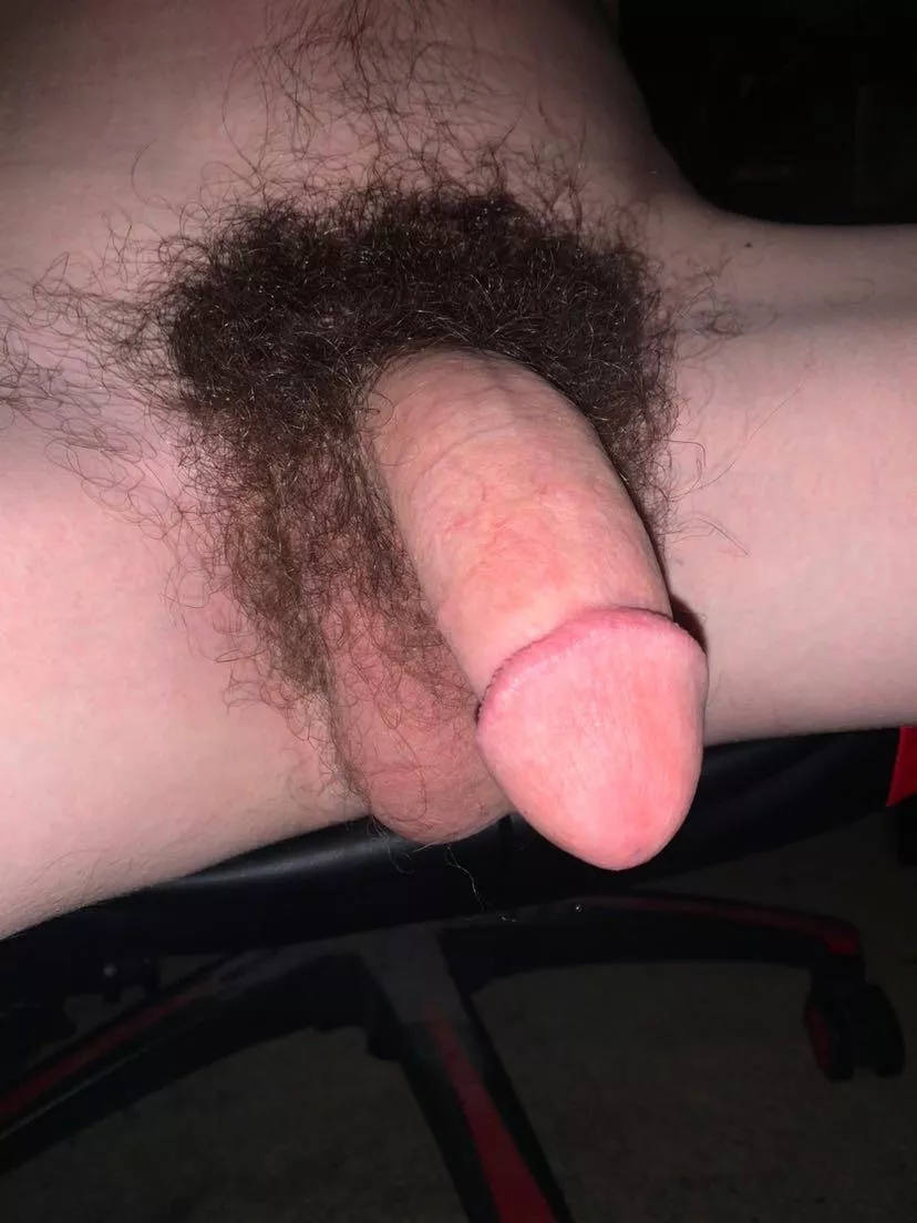 Still waiting on my big fuzzy bear to come cuddle me 🥺🐻 posted by slytherinwizard