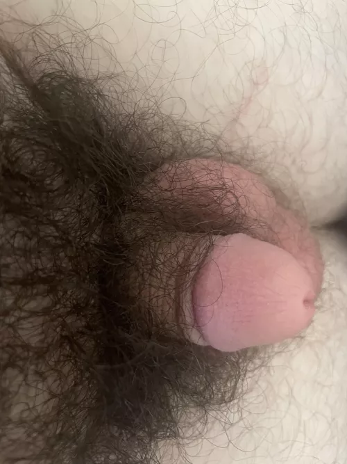 This is as soft as i can get! by NOFX12345