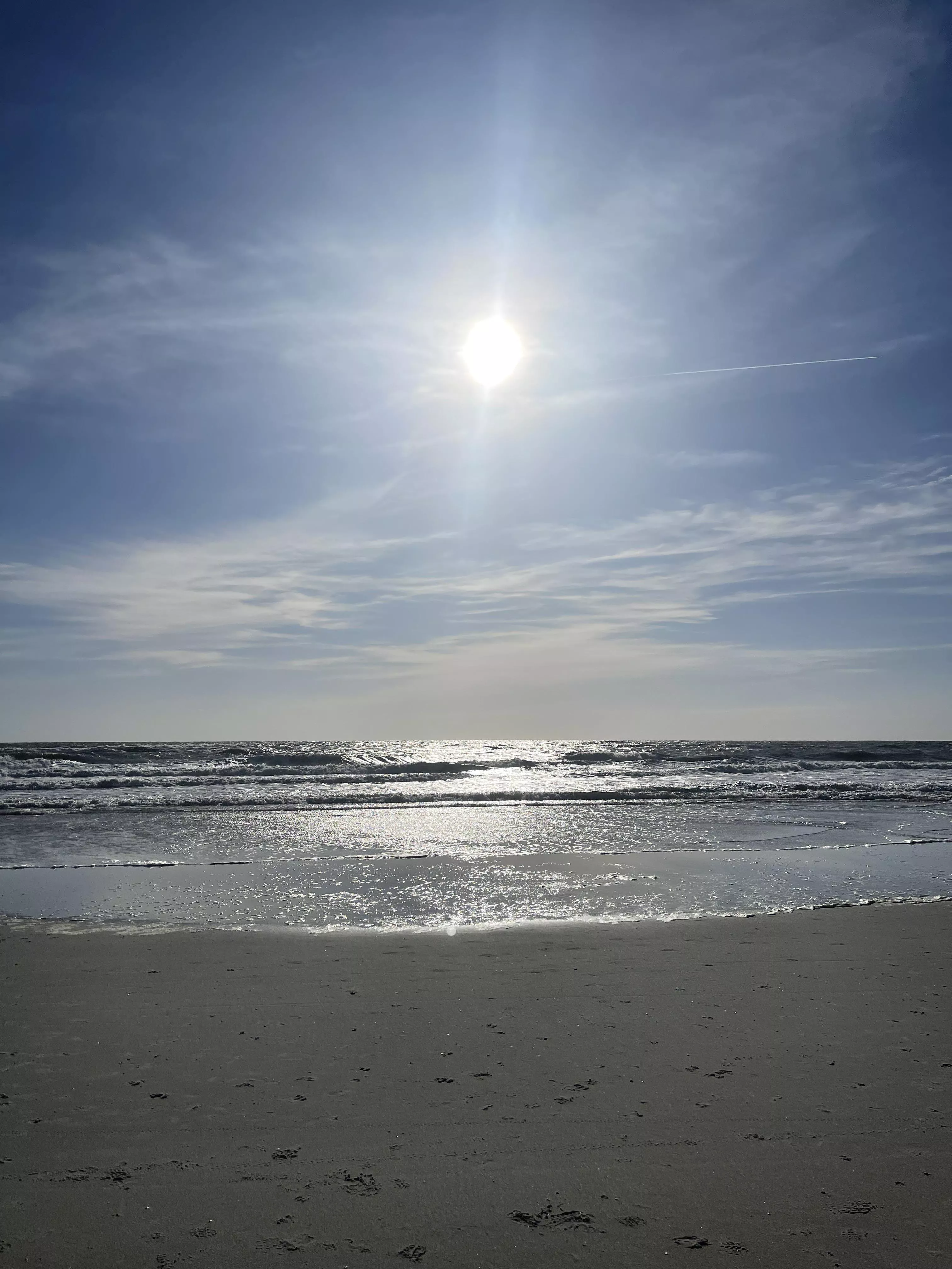 Windy yet beautiful walk this morning. Jax Beach, FL posted by VagariTurtle