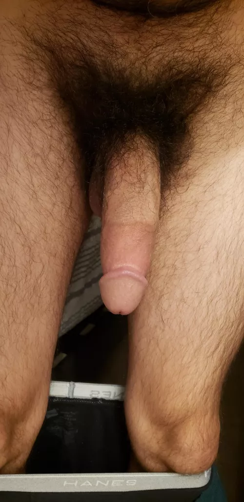 You like bush? by Hot-Championship2343