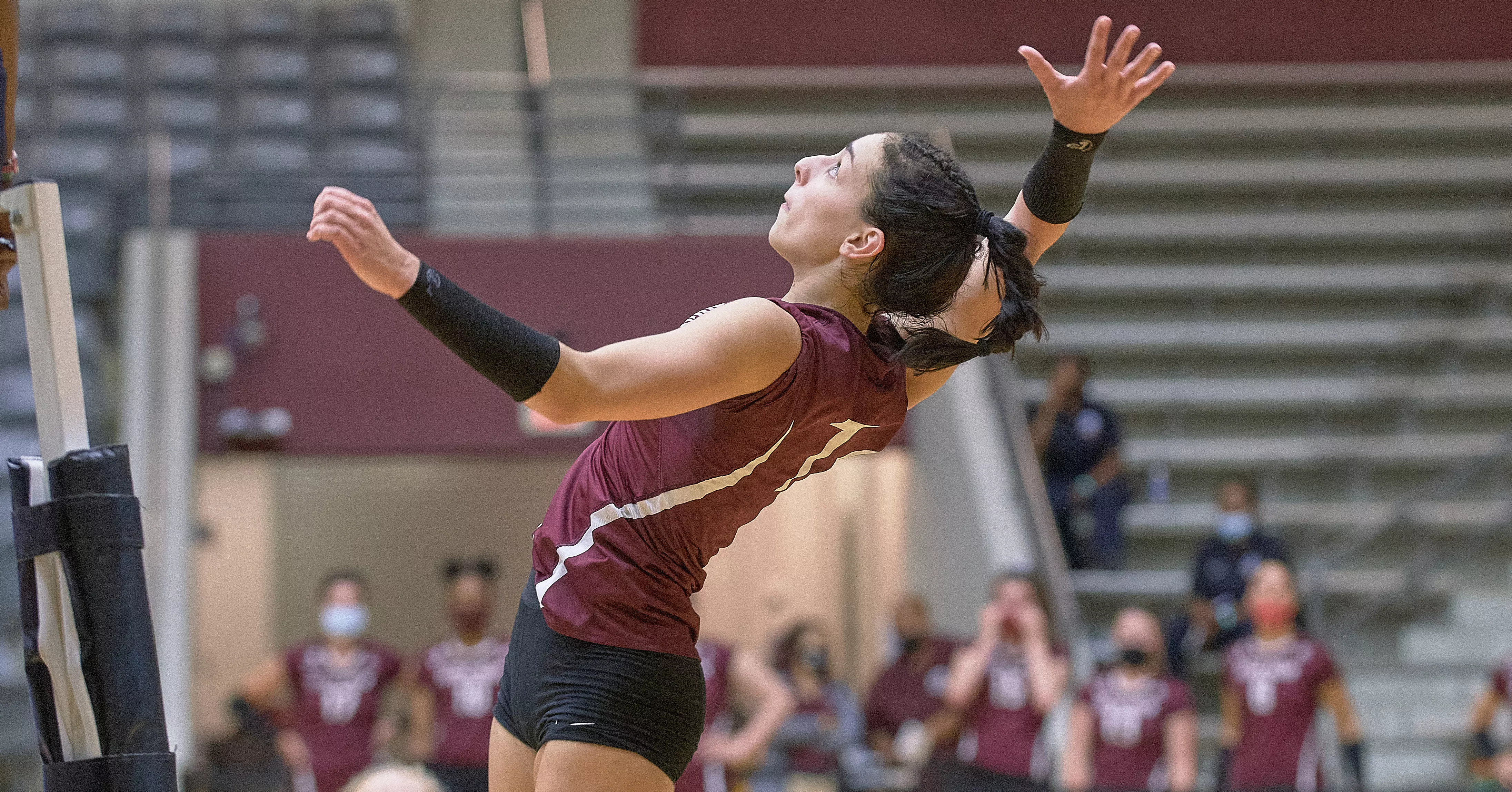 Action shot posted by Wallydinger123