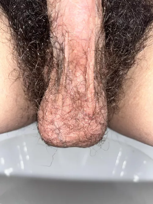 Balls by Daddy_boy_21