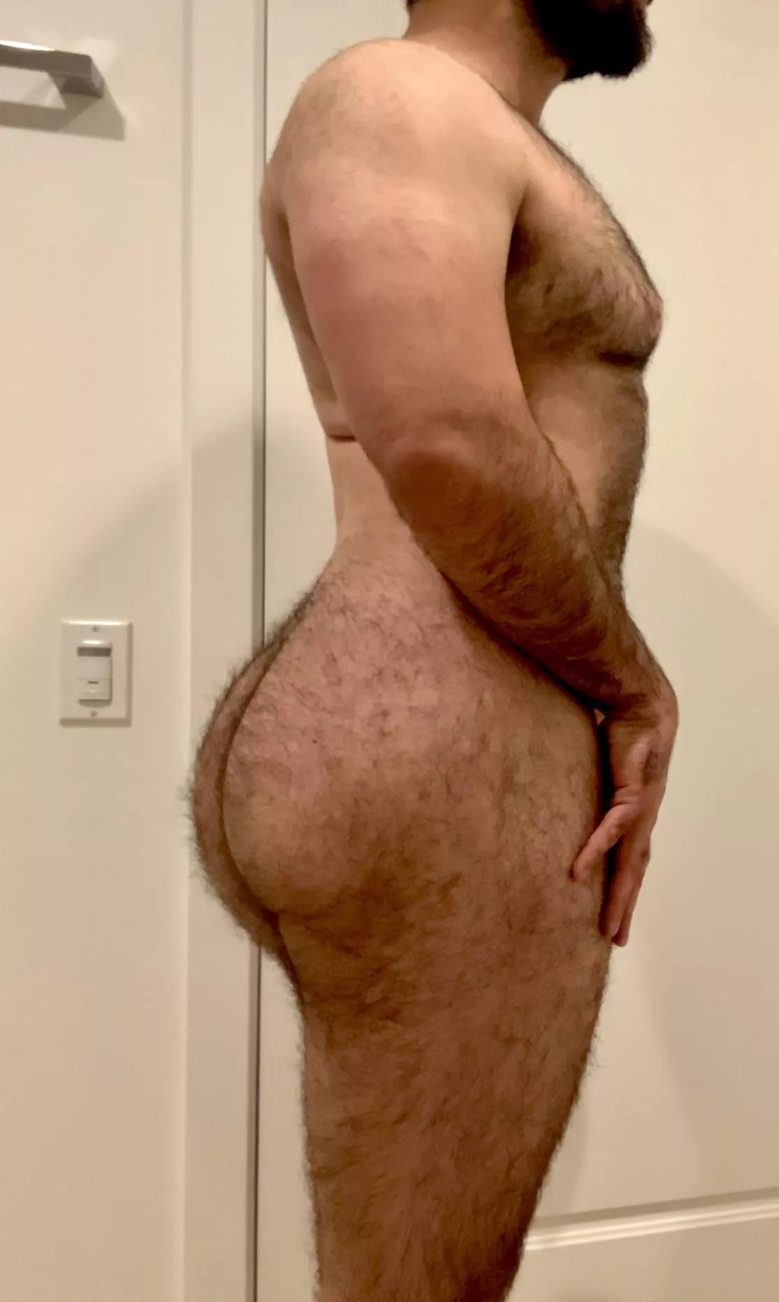 BEEFY 🐻 posted by -DaddyBear