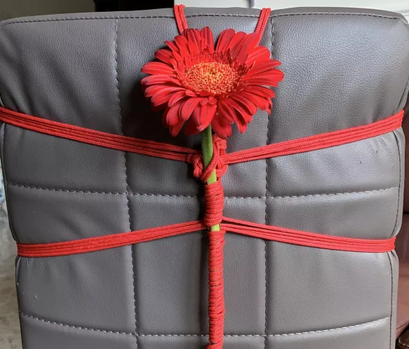 Capturing the beauty of flowers by Pervertside