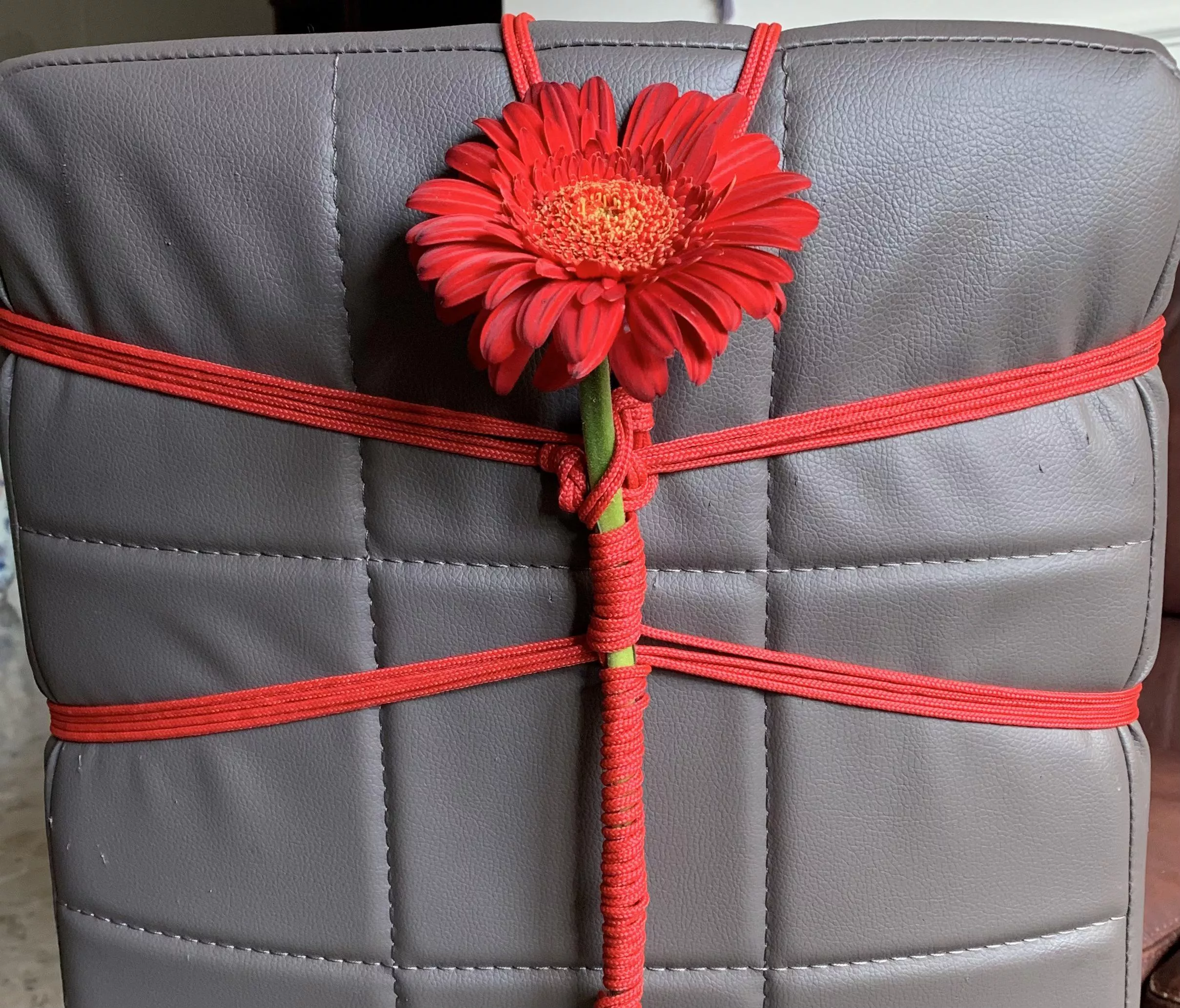 Capturing the beauty of flowers posted by Pervertside