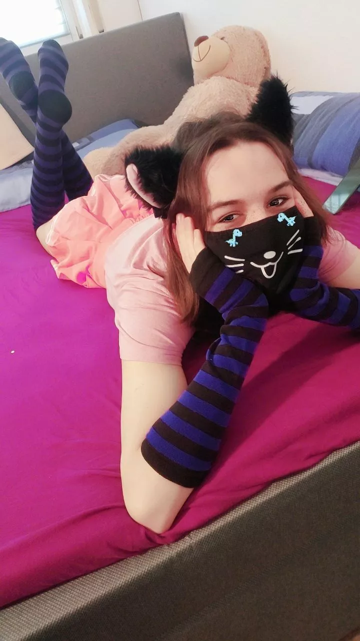 Catboygalaxy is here! posted by catboygalaxy