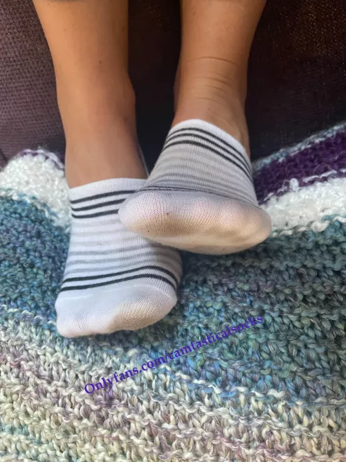 Dirty Bottoms Striped No Show Socks Steve Madden [F] by camtasticalsocks
