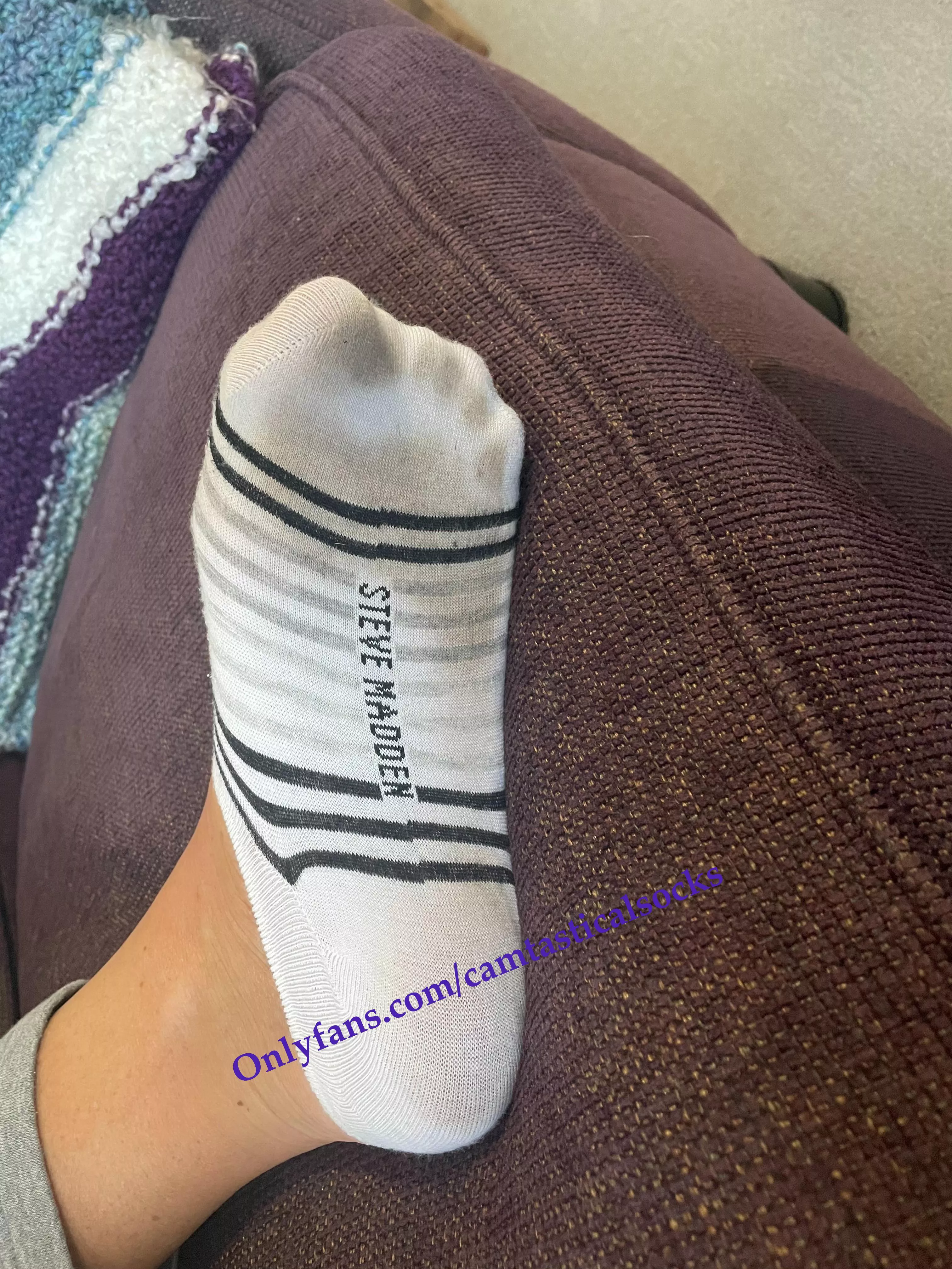 Dirty Bottoms Striped No Show Socks Steve Madden posted by camtasticalsocks