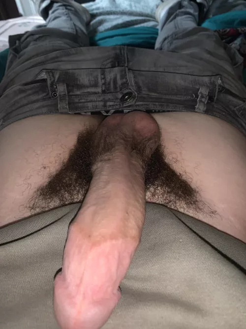 Dms is open by T5_to_Big