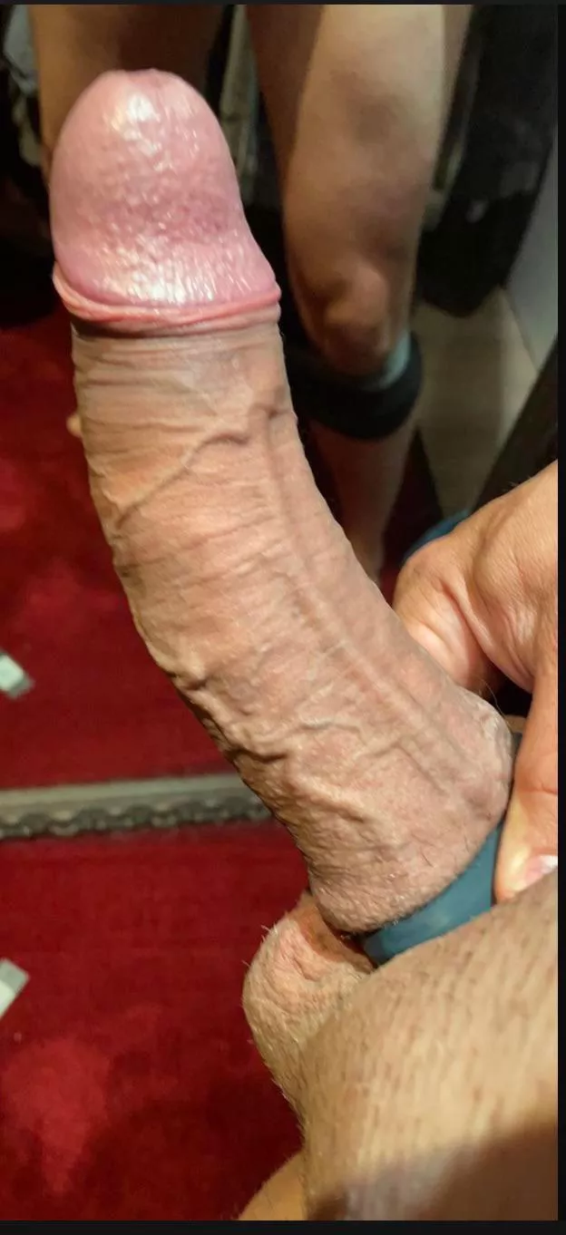 Experienced 40yo bull looking for couples, hit me up! posted by Dutchguy333