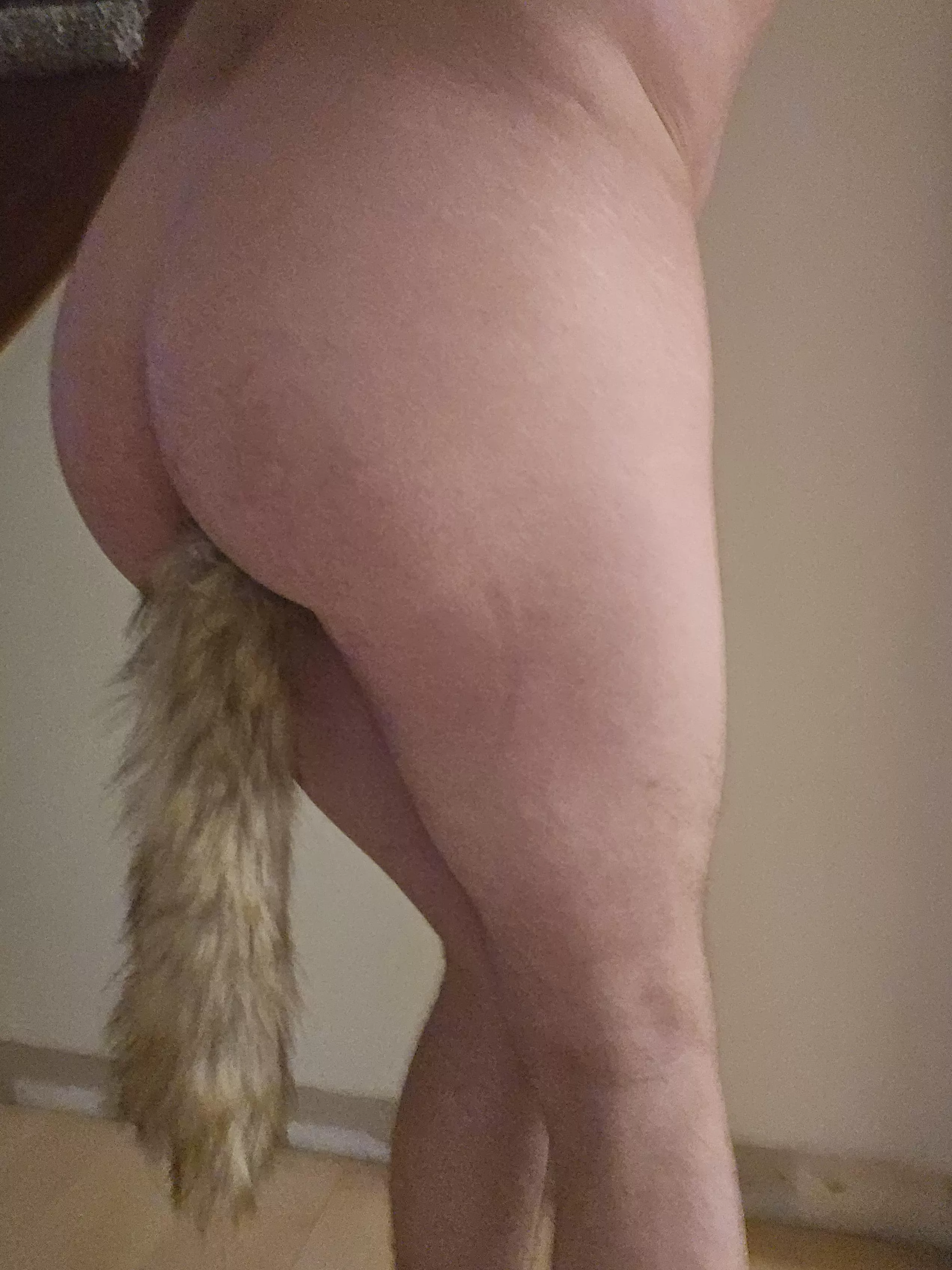 First time tail poster posted by UnderstandingNo2506