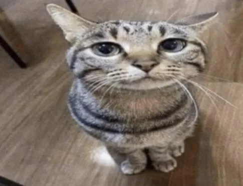 Give me a idea for a Fursona and I will draw it posted by kenny124455