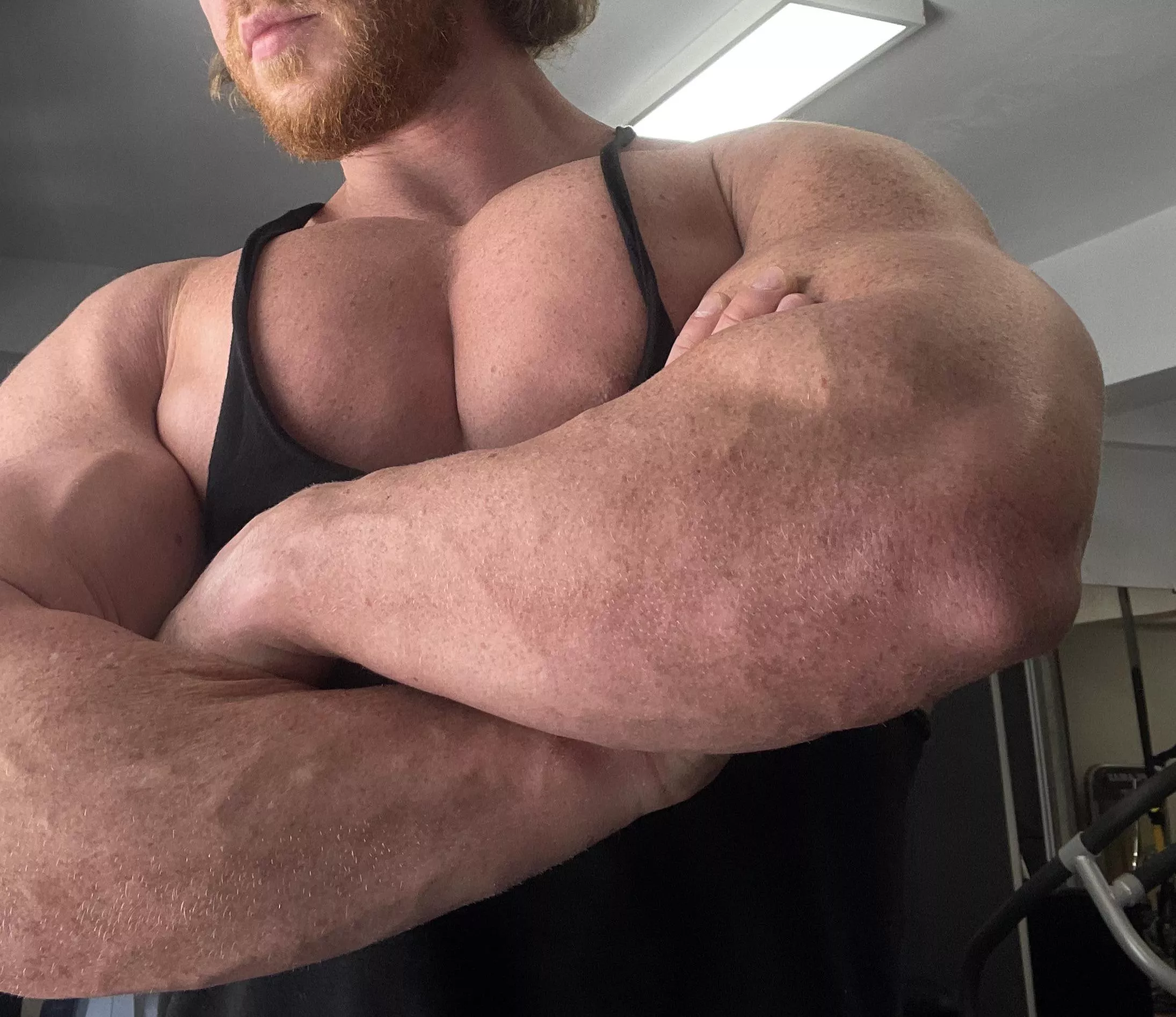 I can rip up a phone book with these forever forearms posted by Bearded_alpha1