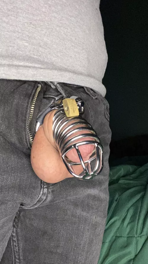 I was told I need a smaller cage by trolgirl04