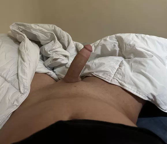 Morning semi by collectorsell