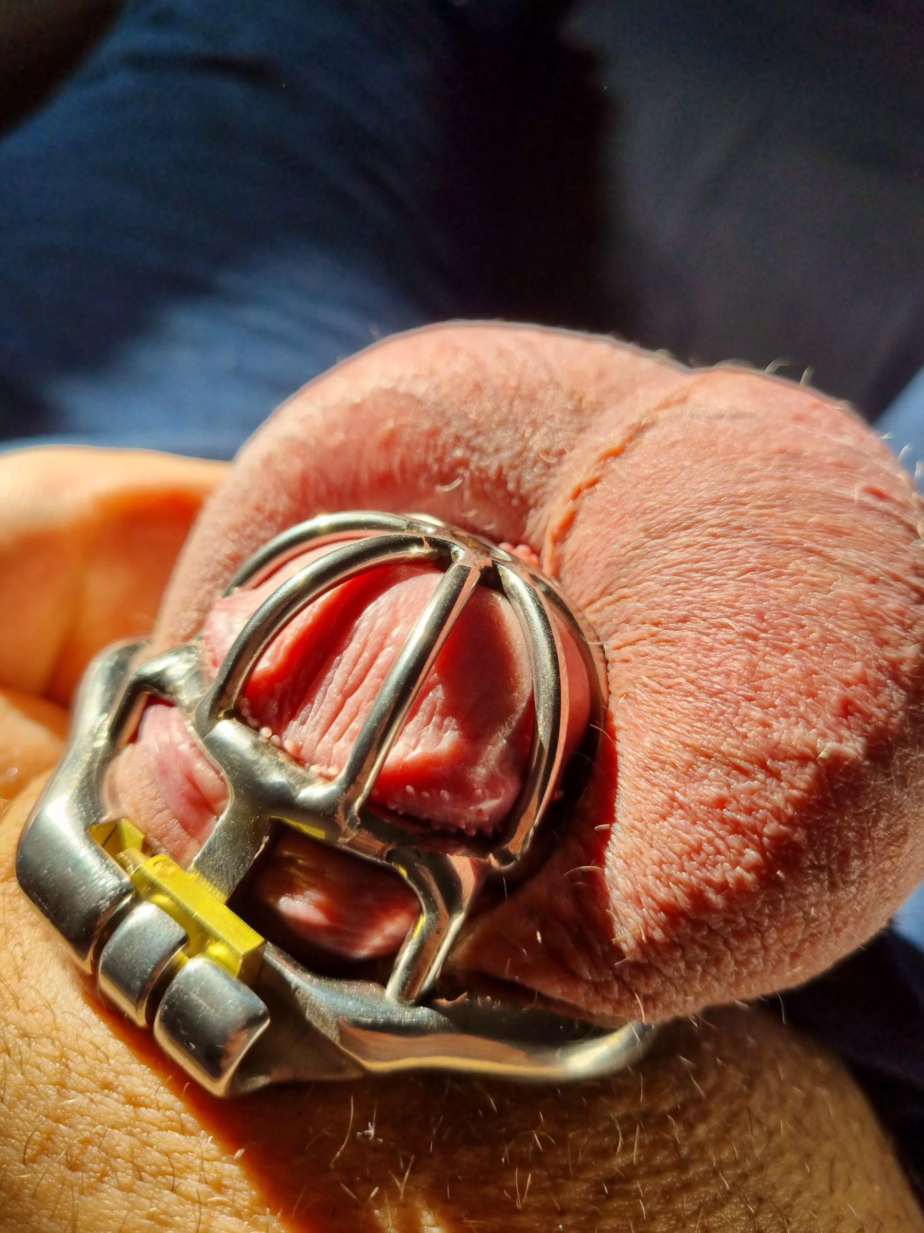 new cage posted by cuckoldCZ