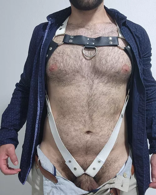 Ready to hit the office by musclebearxxx