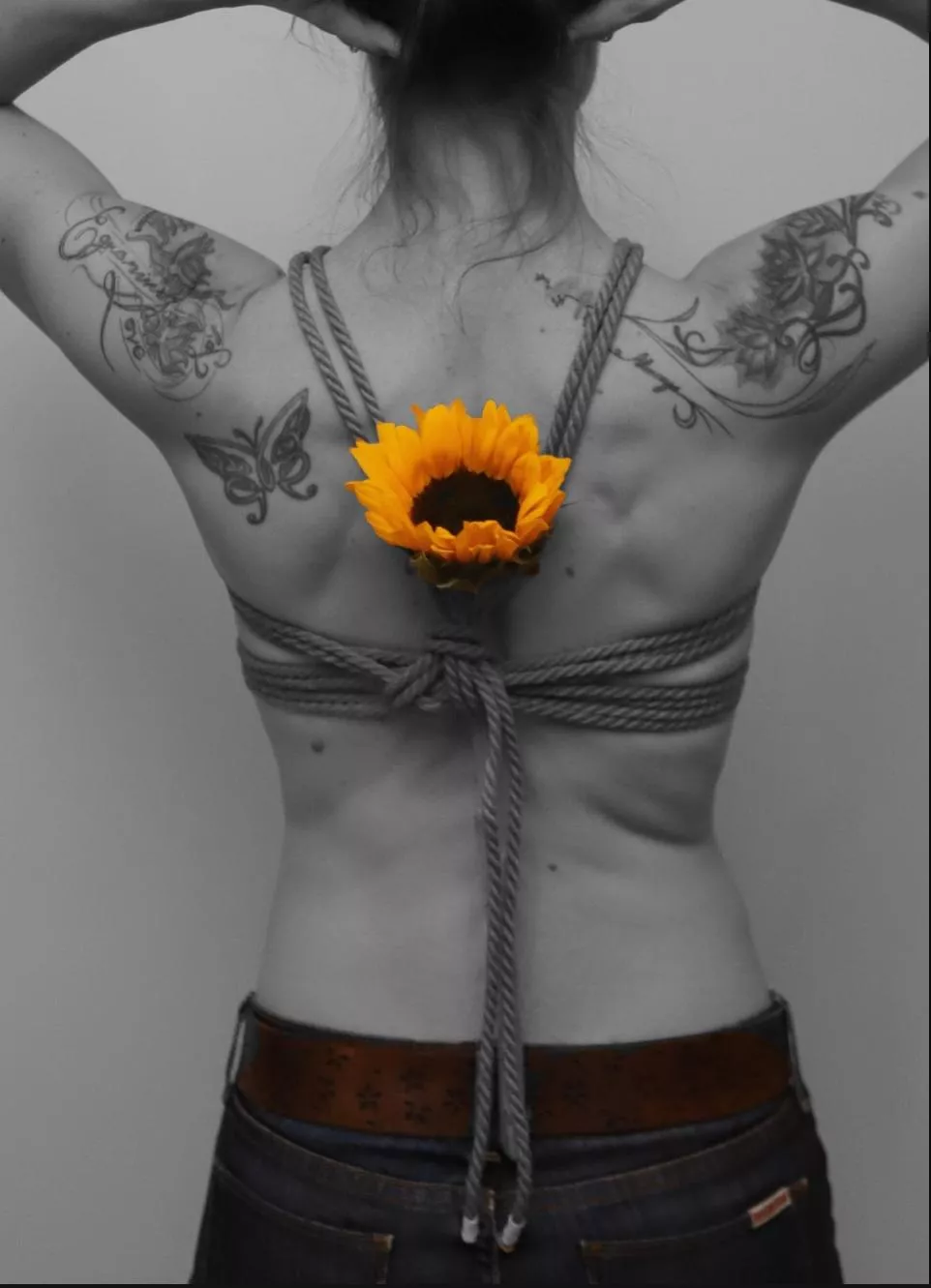 Sunflower and Jute posted by agron4571