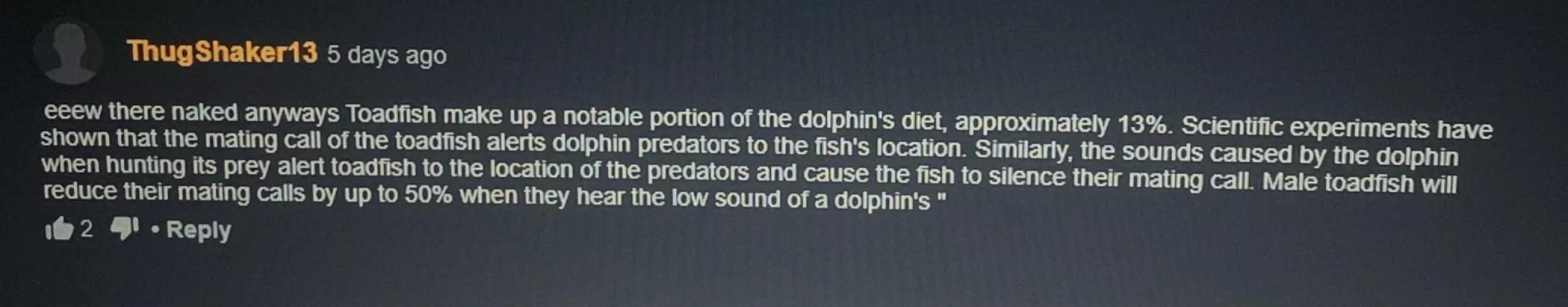 Toadfish by Fredo_035