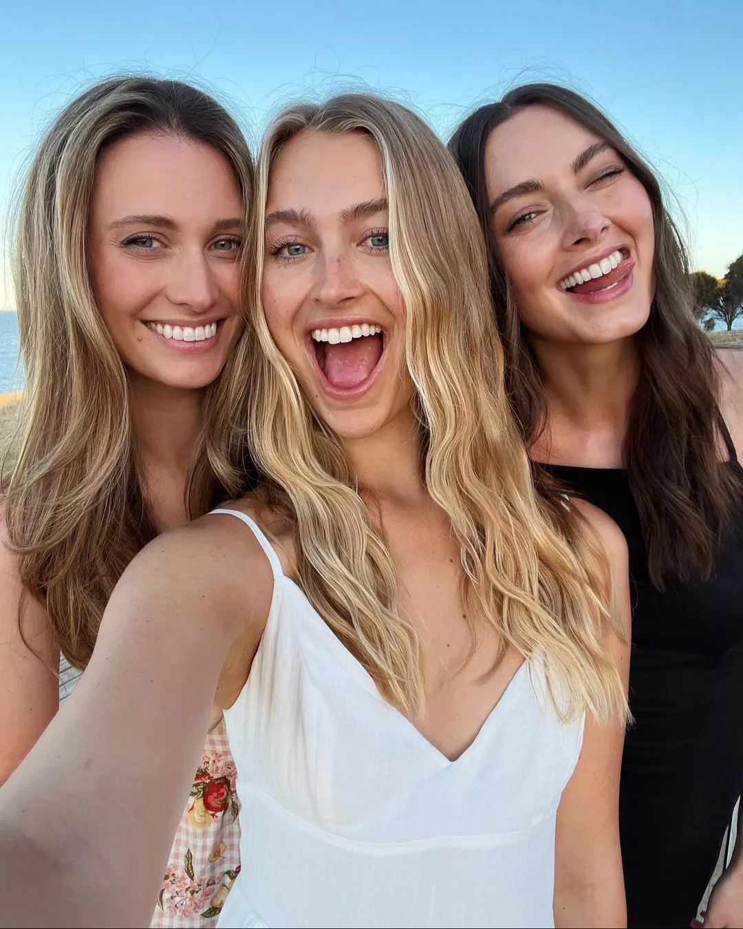 Which one? posted by Itchy-Remote-4762