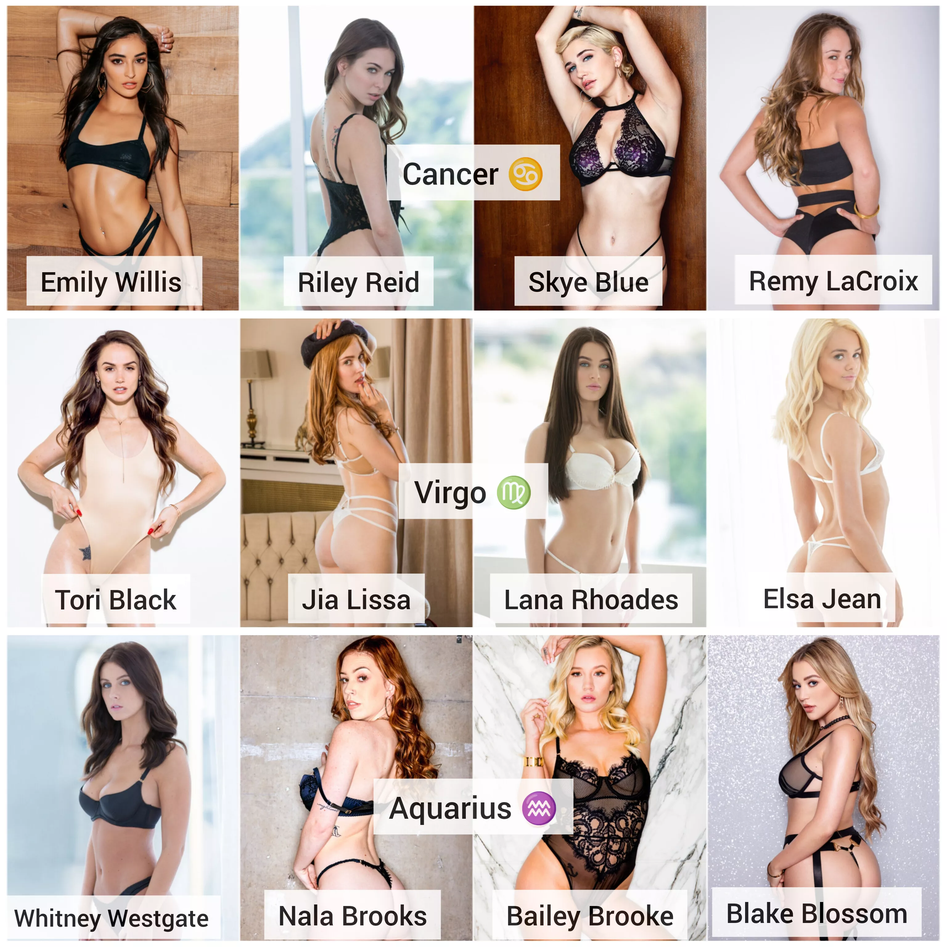 Zodiac Battles Final (Best of 3): Choose your favorite Zodiac sign for pornstars: [Cancer] ♋ vs [Virgo] ♍ vs [Aquarius] ♒ Bonus: Pick 1 favorite Pornstar from each group. posted by castelling