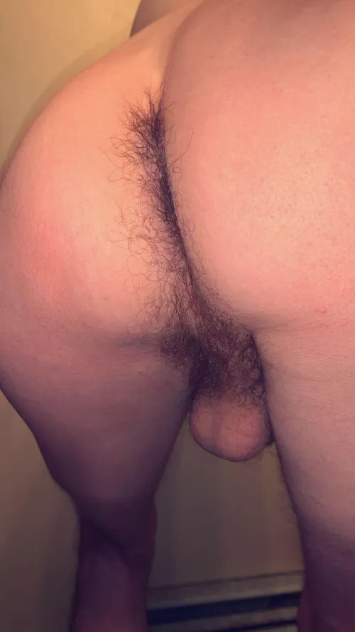 Any fuzzy bears wanna cuddle me🥺🥰? by slytherinwizard