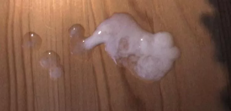 Anyone can send me there cum shots and I’ll rate them posted by FarAnteater3868