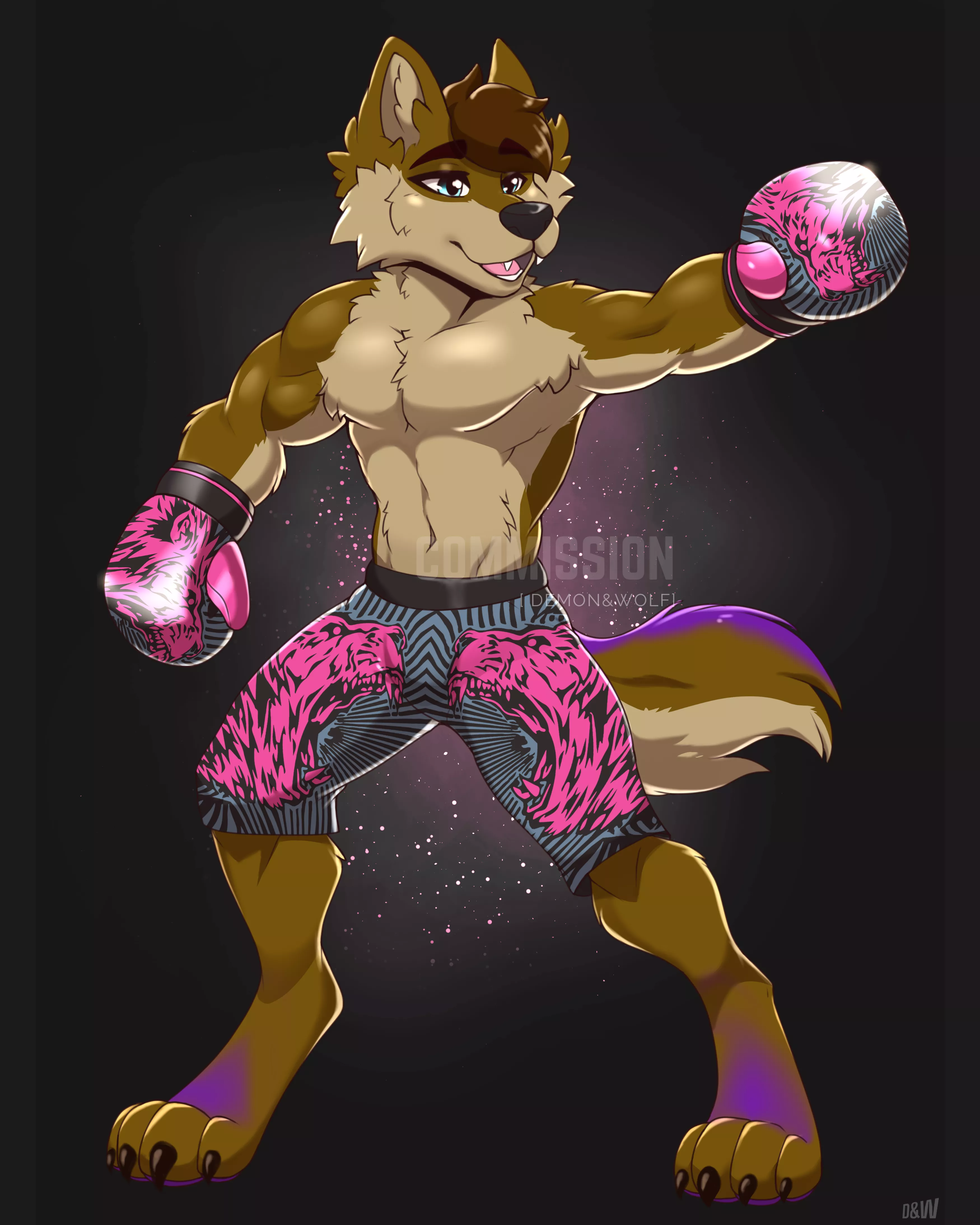 [C] Boxer Wolf Crash! posted by DemonAndWolf