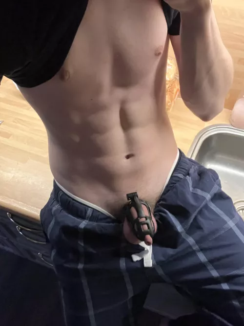 Day 5/7 - Finally found a good dom to serve and help me through my locking up journey :) by Potloodvla