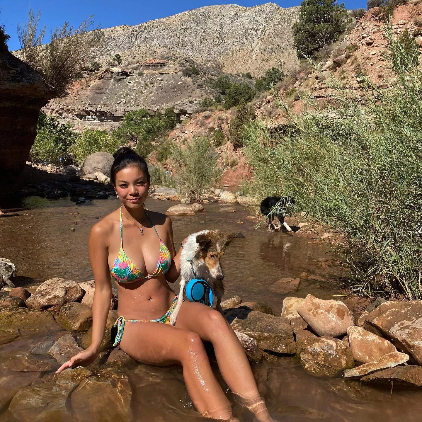 dog lover posted by Throwawaythebasuras