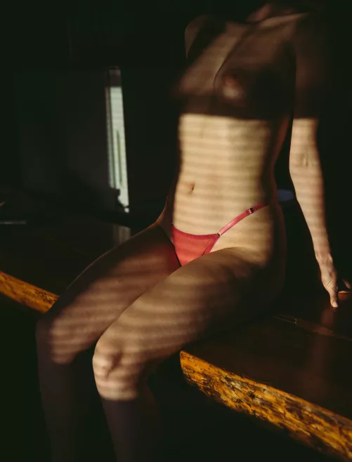 Elegance & Grace by Lobark_