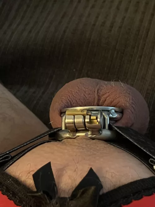 Flat cage! First time.....super excited! by Sissy_michelle_7