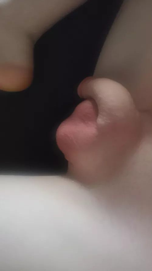 freshly shaved by BigNerdyCock