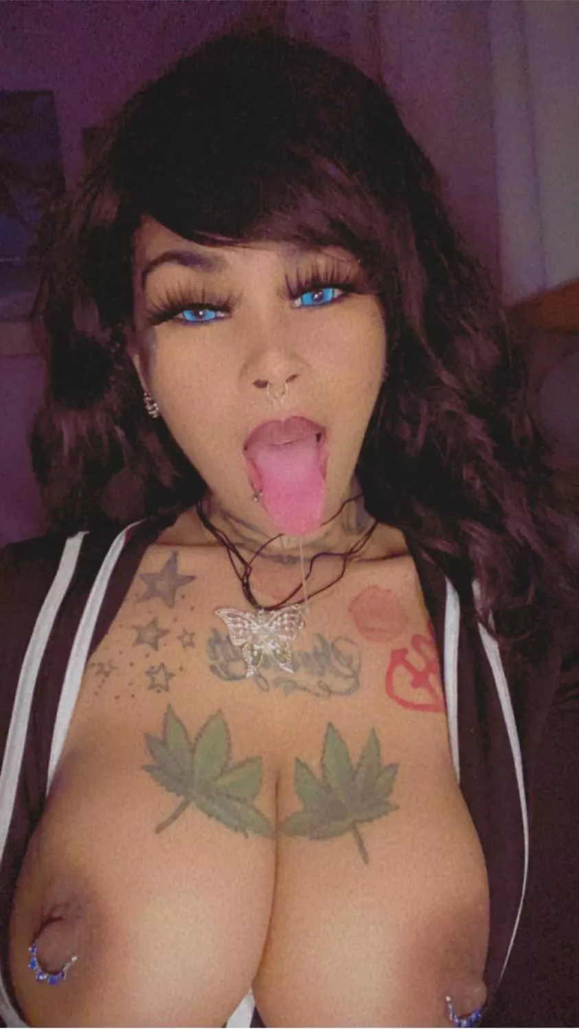 Good Evening posted by Cashmere_Silk