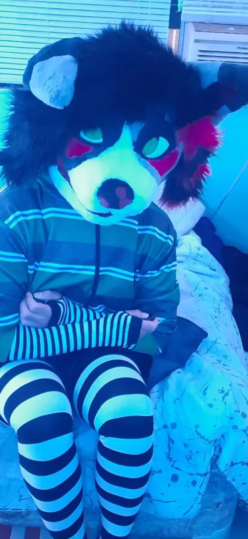 Hiii, I'm new here. What do you think of my fit?~ xDDD by aid3nfox