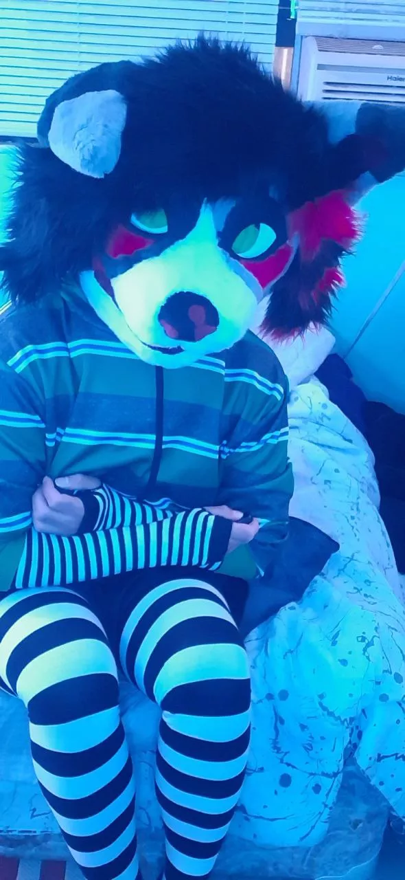 Hiii, I'm new here. What do you think of my fit?~ xDDD posted by aid3nfox