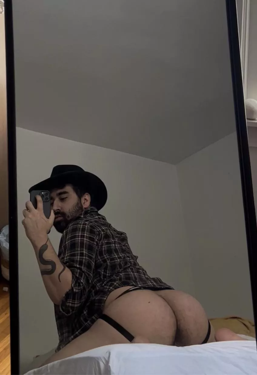 Howdy posted by NovelThot