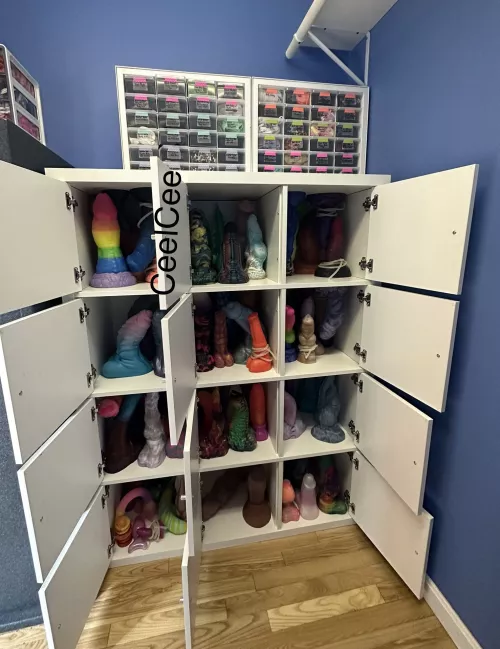 I moved and first thing I did was FINALLY organize my dongs! No longer haphazardly thrown into bins! 💕 There’s a variety of makers shown here. by CeelCee