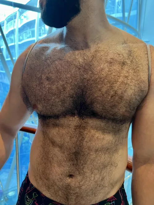 I Think The Sun Made Them Swell by Hairy_beefcake