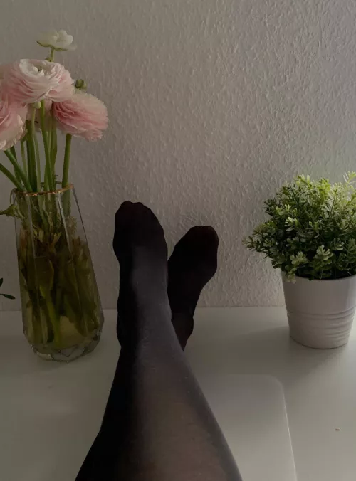 My boss gave me a raise after I put my feets on his desk like this by Lauraaalove