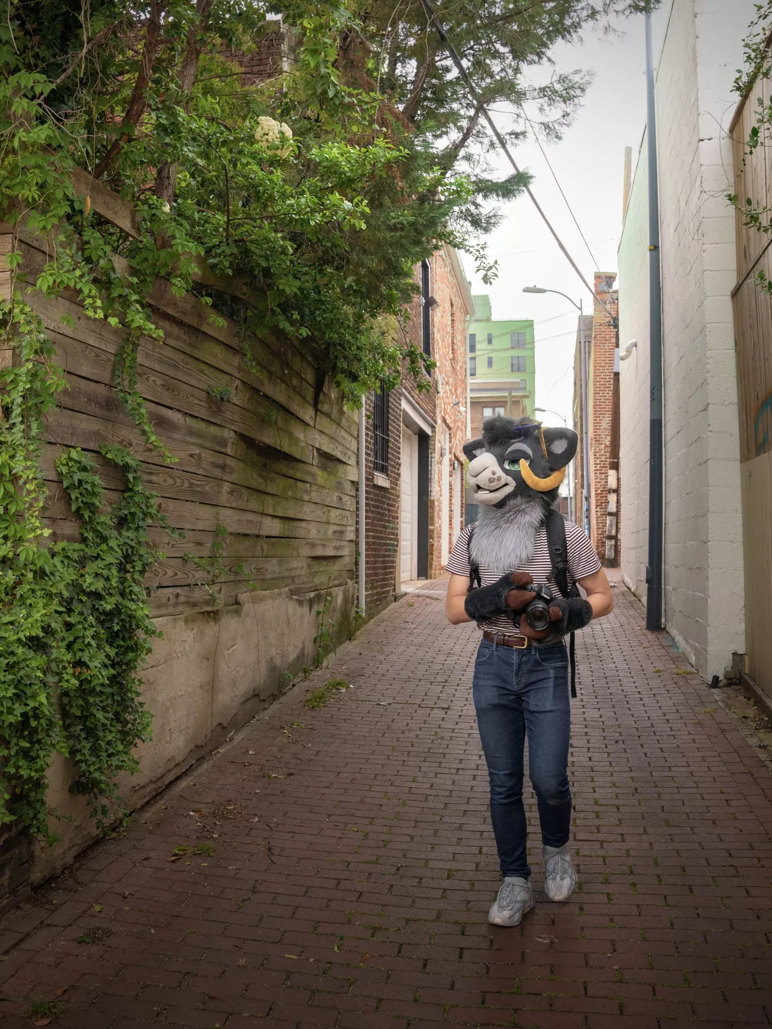 Nature takes it back posted by stayawayfromthealien