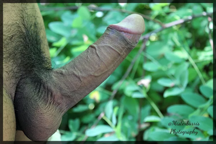 No title needed by MisterBurrisPhotos