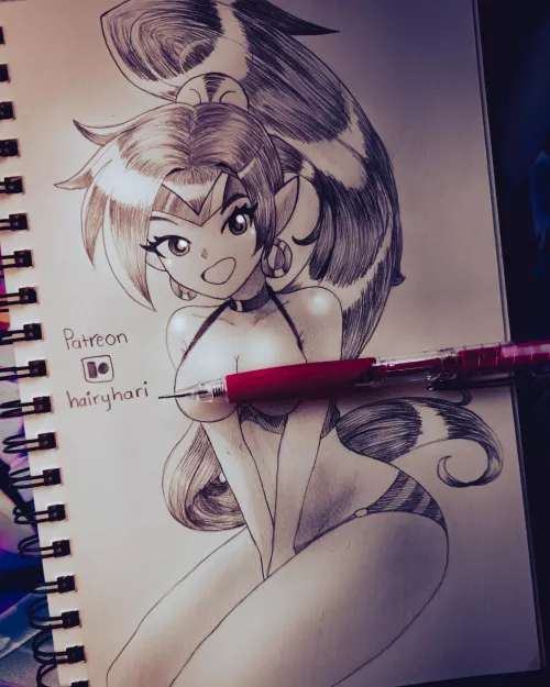 Our favorite half-genie gal Shantae by Harryosuke