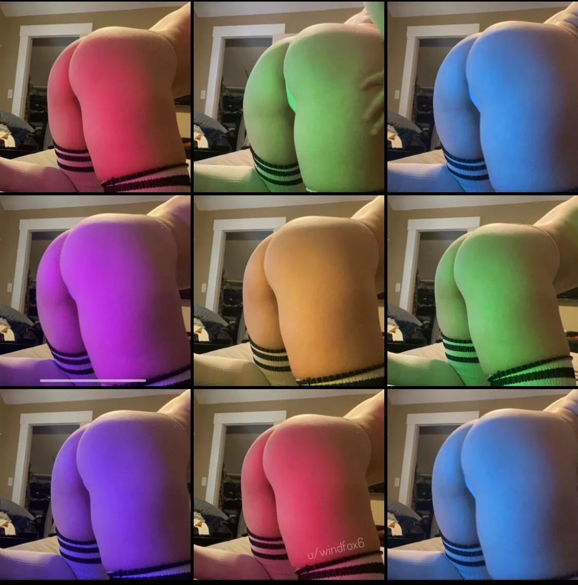 Playing with color on this hump day posted by Windfox6