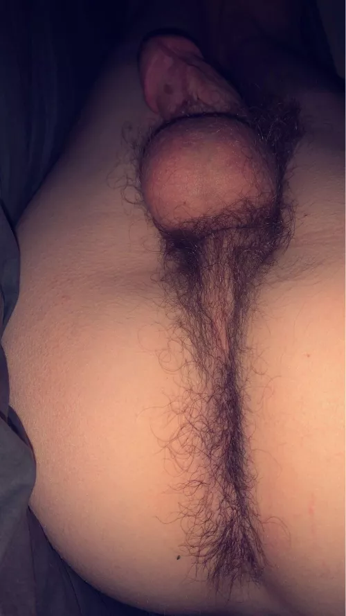 Still waiting for a fuzzy bear to come cuddle me 🥰🥺 by slytherinwizard