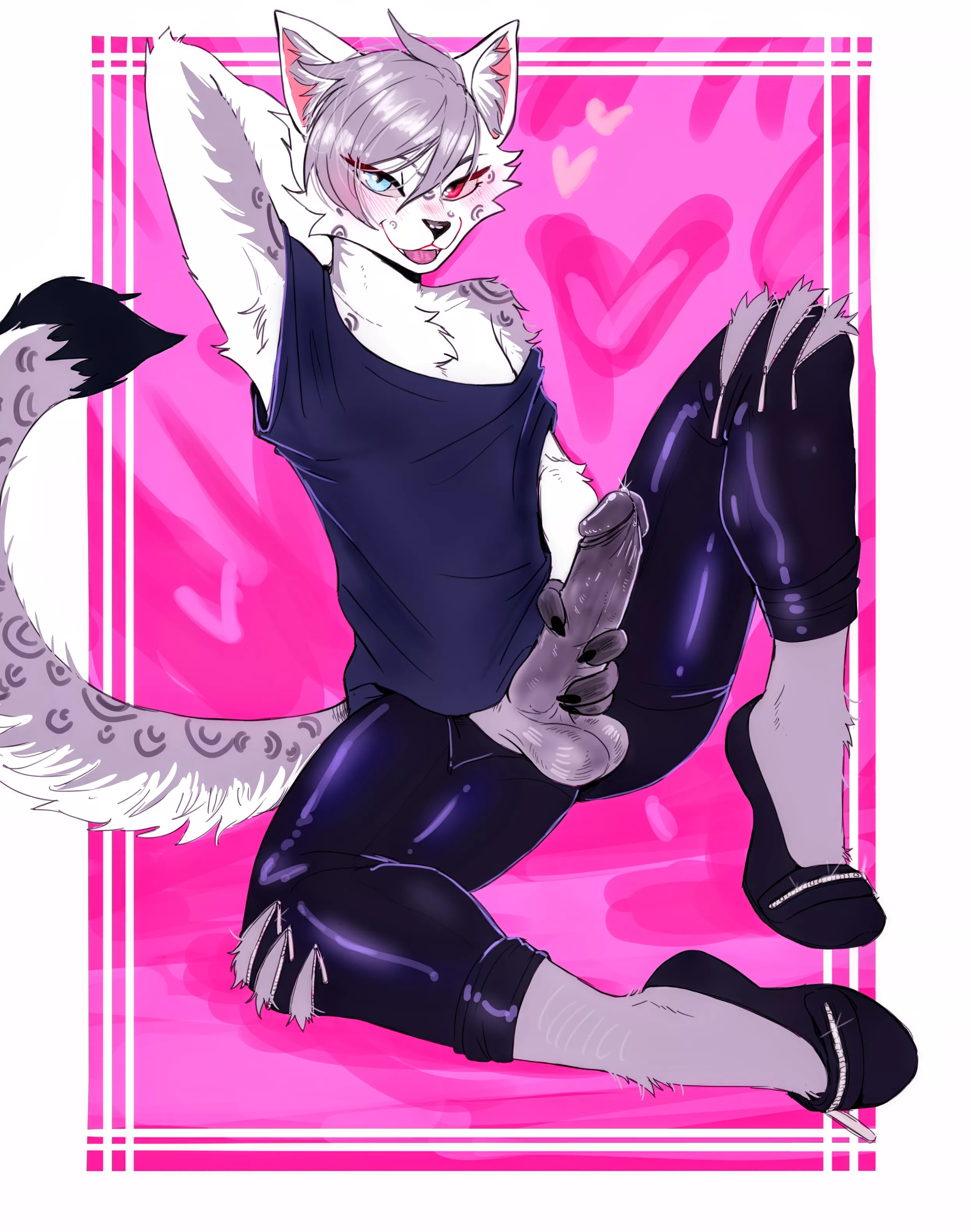 This cutie is ready! (SiffeyWolf) posted by SiffeyWolf