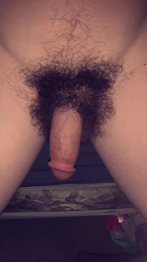 Trying my best to find a fuzzy bear to love 🥺🐻 by slytherinwizard