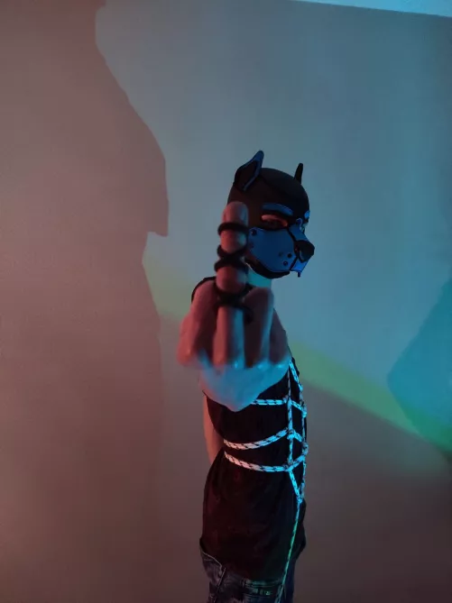 Untamed by happydogL