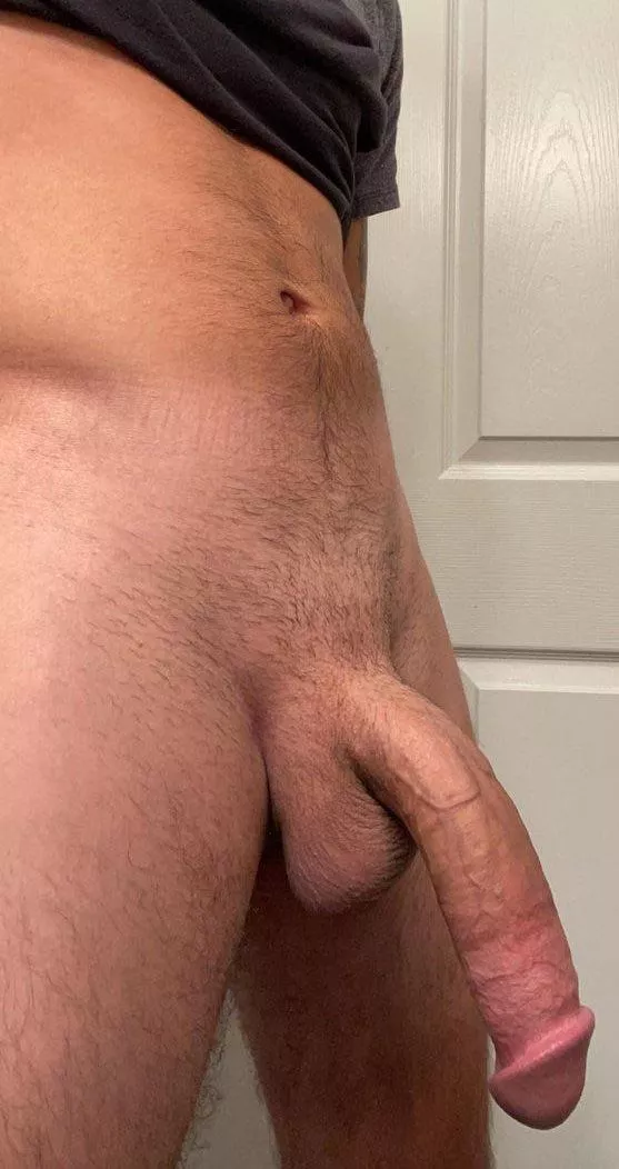 Wanna play with it posted by [deleted]