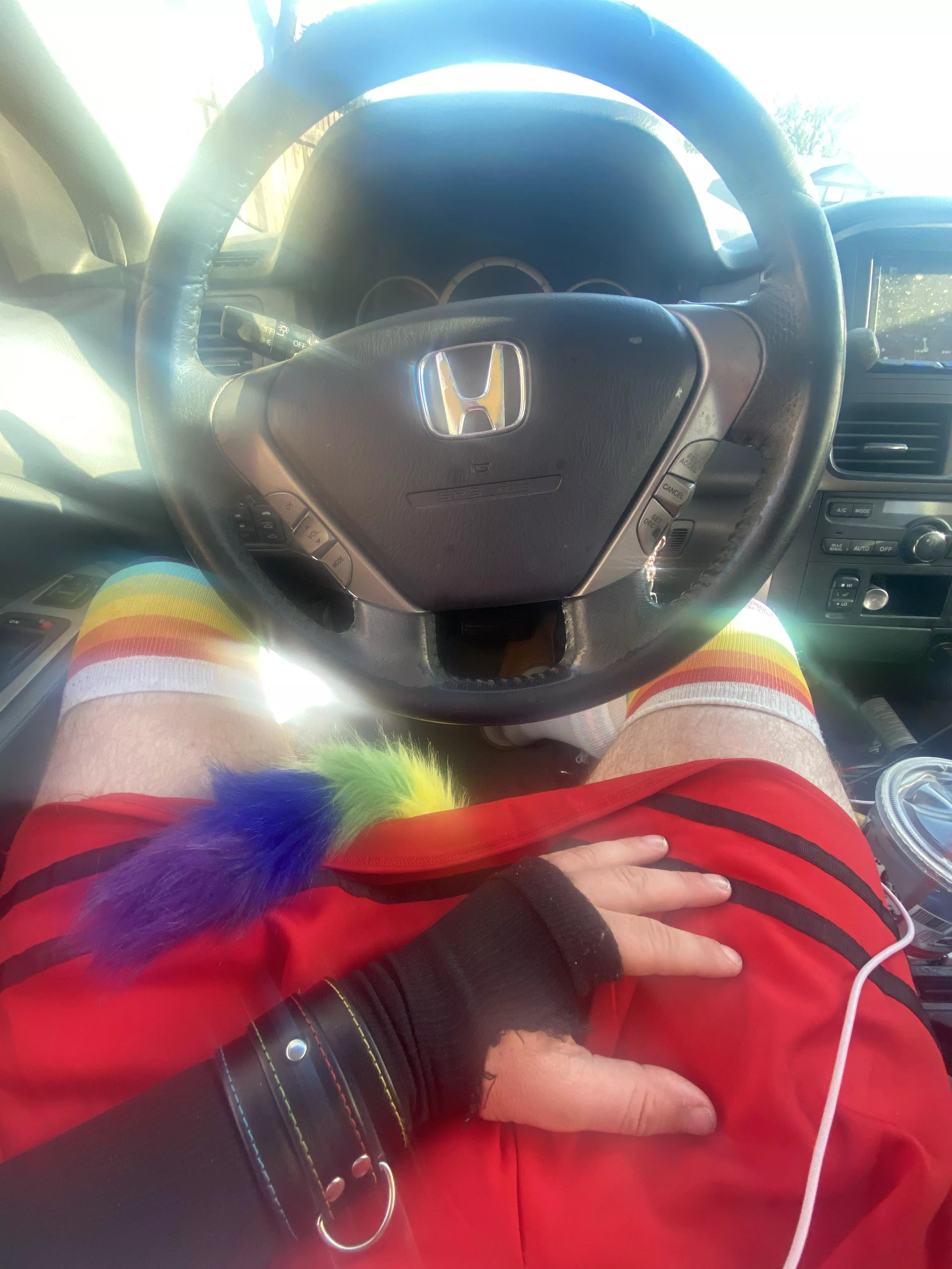 Went on a roadtrip to a furcon and my top half was dressed normally but my bottom half… posted by hawaii1026